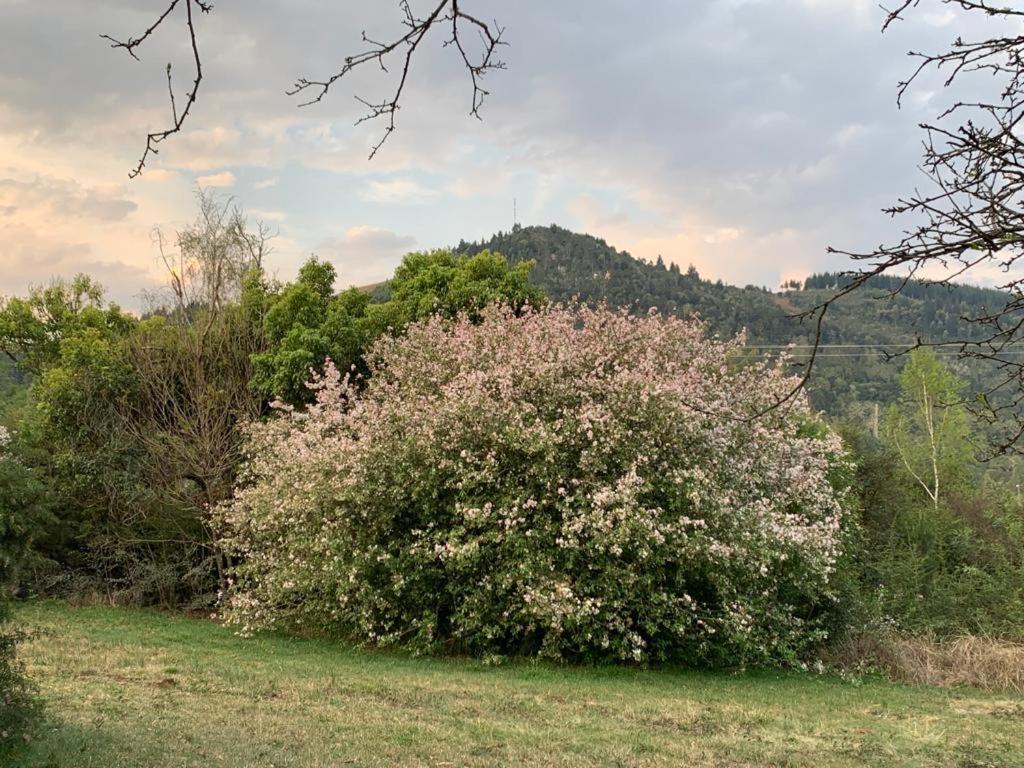 Laragh-on-hogsback Chalet Hogsback
