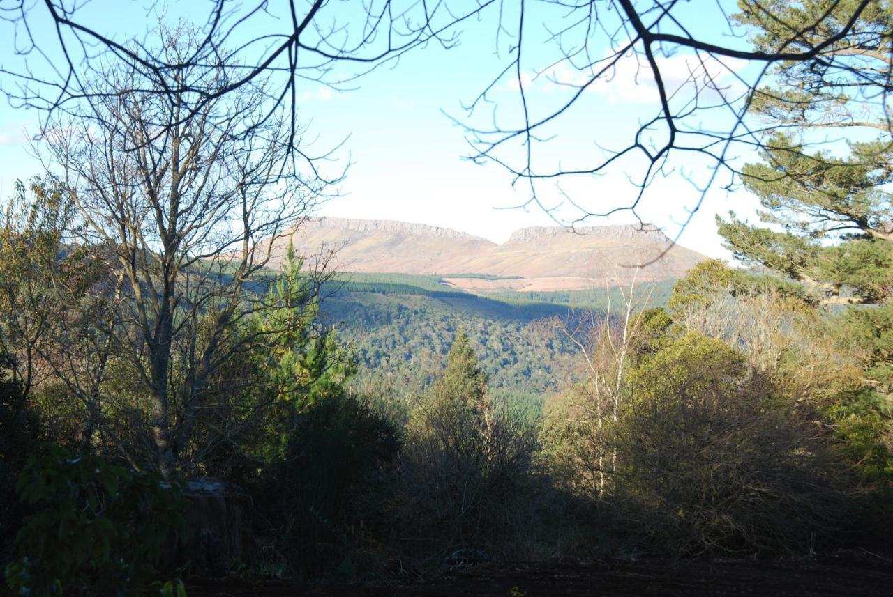 Laragh-on-hogsback Chalet *